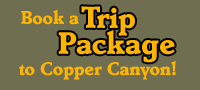 Book a Trip Package to Copper Canyon!