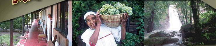 chihuahua hotel accommodations