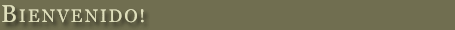 Bienvenido!